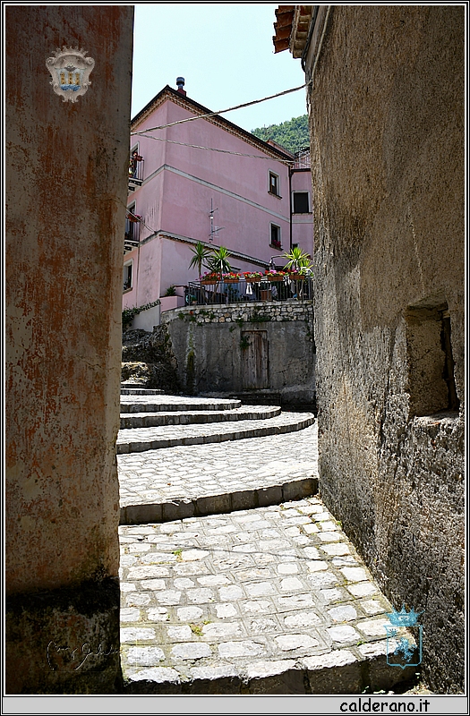 19E_9702.jpg