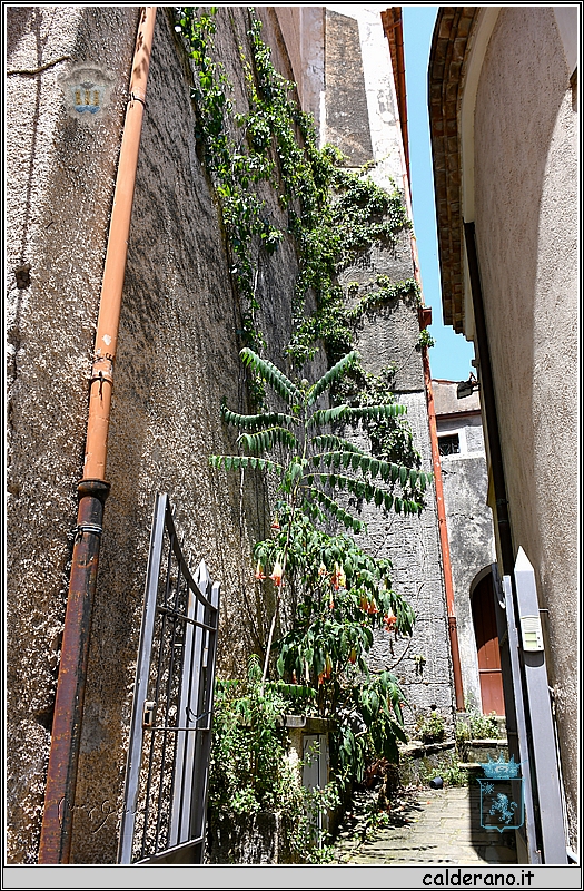 19E_9707.jpg