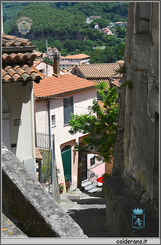19E_9708.jpg