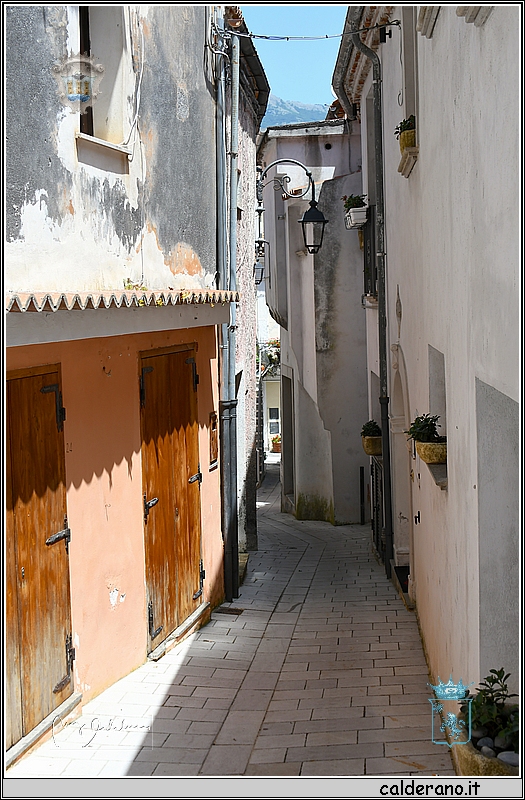 19E_9710.jpg