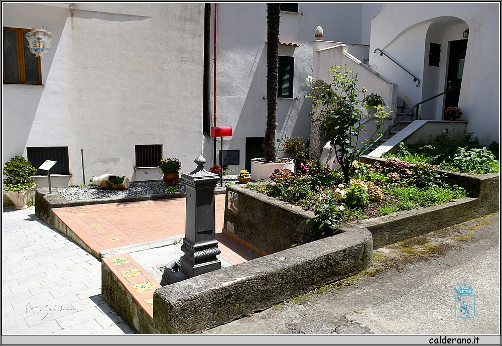 19E_9717.JPG