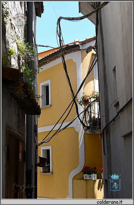19E_9719.jpg