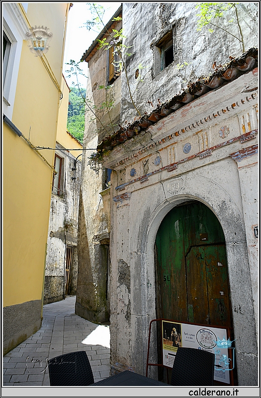 19E_9723.jpg