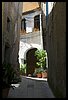 19E_9691.jpg
