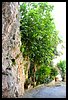 19E_9697.jpg
