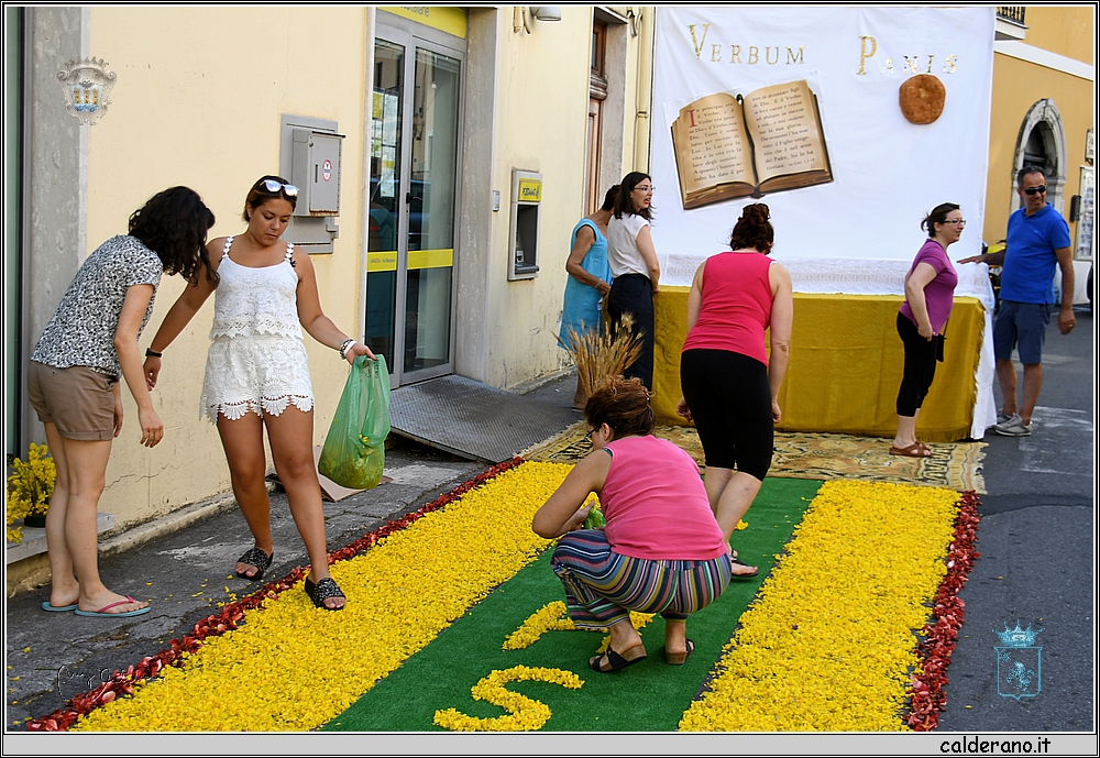 19H_9738.JPG