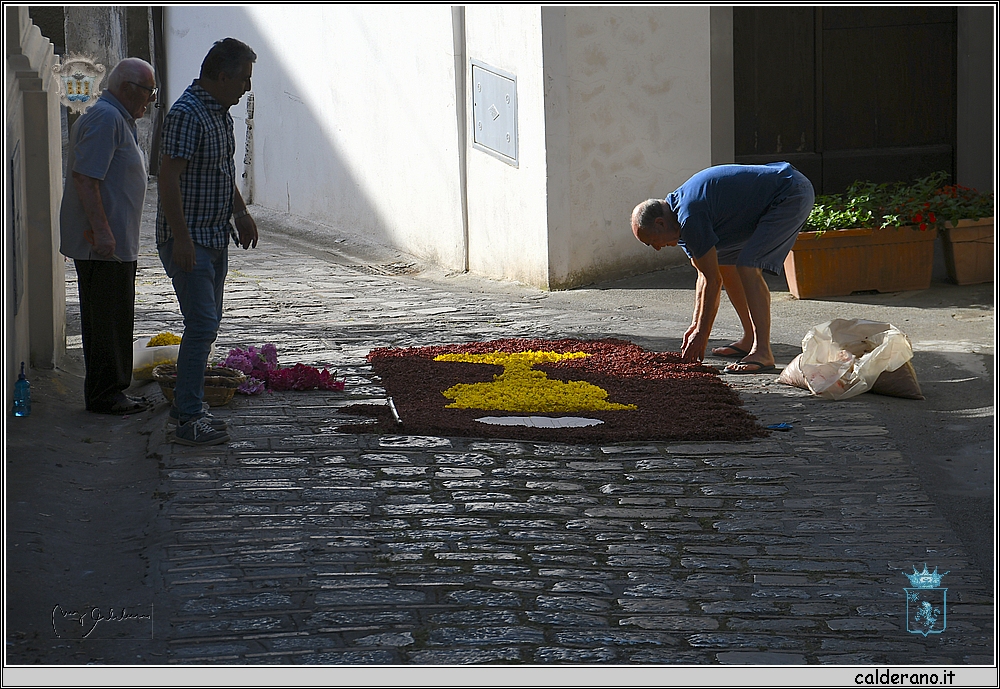 19H_9748.JPG