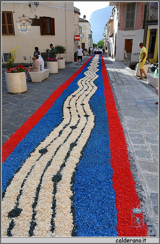 19H_9763.jpg