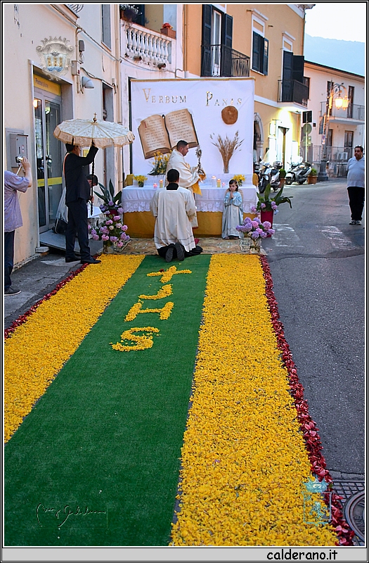 19H_9846.jpg