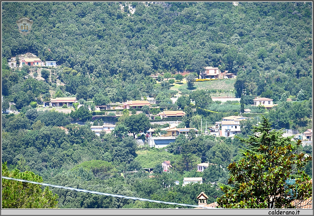 19L_1206.JPG