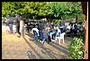 19M_3980.JPG