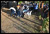 19M_3982.JPG