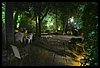 19M_4450.JPG
