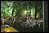 19M_4451.JPG