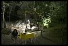 19M_4456.JPG