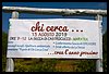 19M_4715.JPG