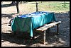 19M_4729.JPG