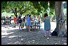 19M_4768.JPG
