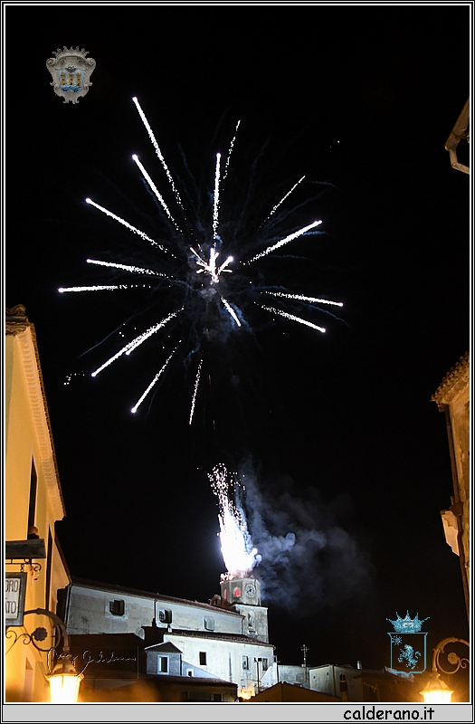 19M_5564.jpg