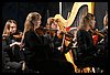 19M_5828.JPG