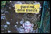 19M_6169.JPG