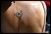 19M_6513.JPG
