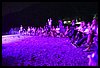 19M_6588.JPG