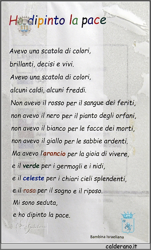 19M_6899.JPG