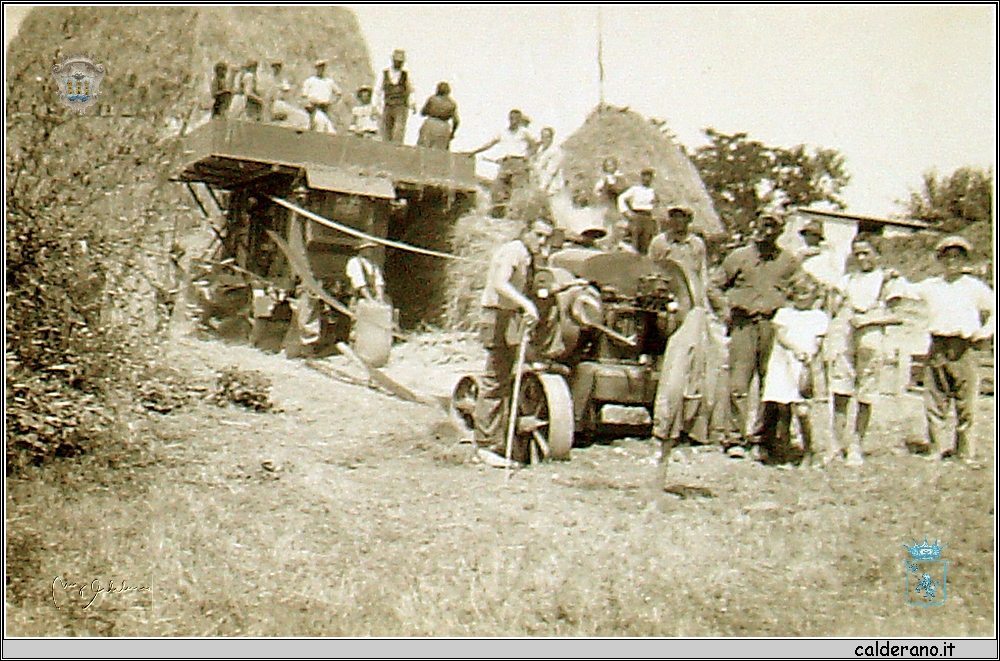 Battaglia del grano con Pasquale Iannini.jpg