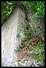 19R_7468.jpg