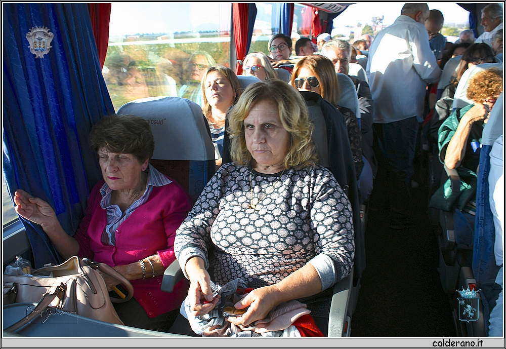 19R_7807.JPG
