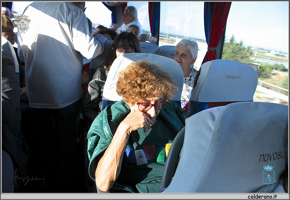 19R_7810.JPG