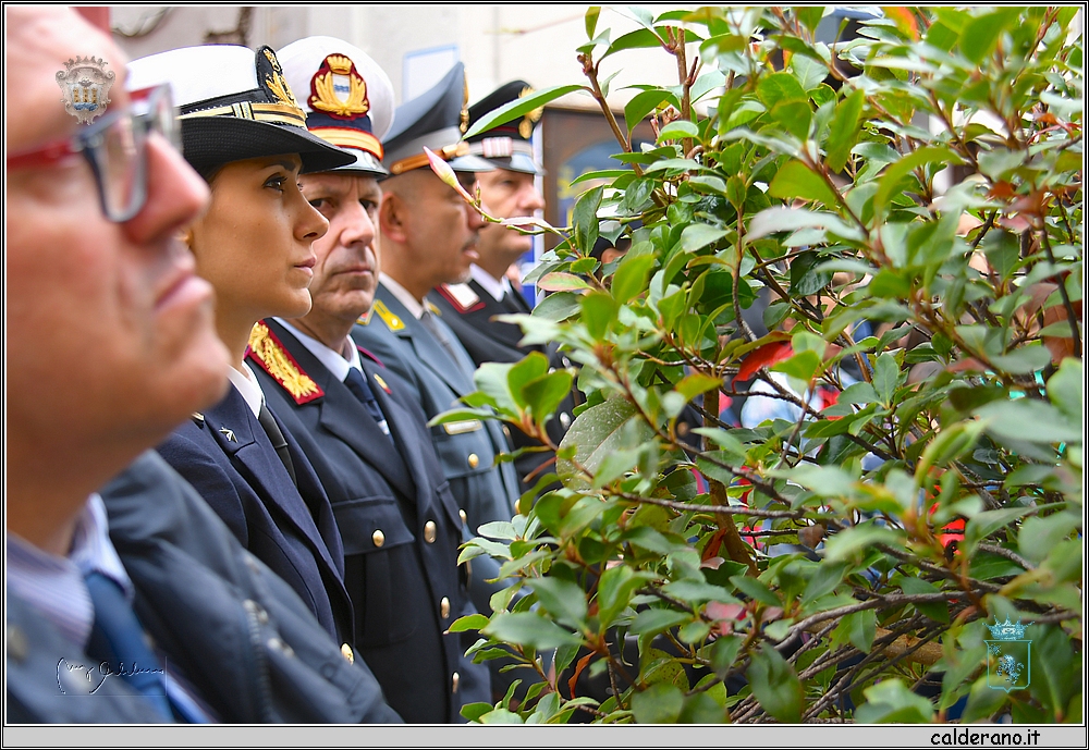 19R_8594.JPG