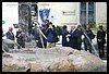 19R_8436.JPG