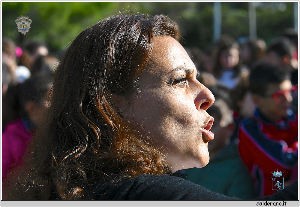 19S_8977.JPG