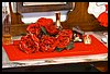 19T_9448.JPG