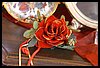 19T_9498.JPG