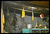 19T_0269.JPG