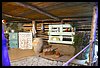 19T_0271.JPG