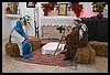 19T_0541.JPG