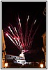 037 19M_5603.jpg