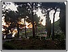048 19L_2312a.JPG