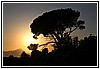 053 19E_9617.JPG