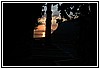 111 19M_6070.JPG