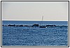 118 19H_0169.JPG