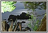 163 19M_5143.JPG