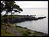 DSCN3220.JPG