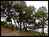 DSCN3221.JPG