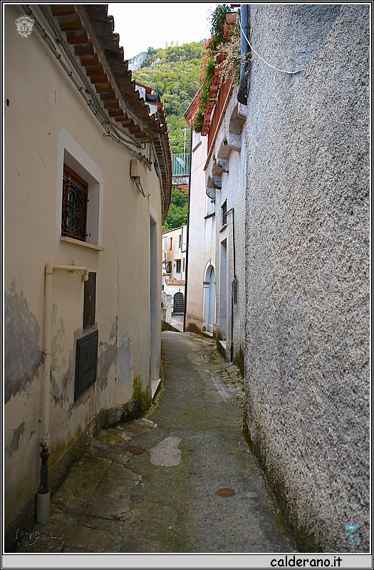 20L_4260.jpg