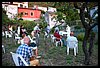 20M_7961.JPG